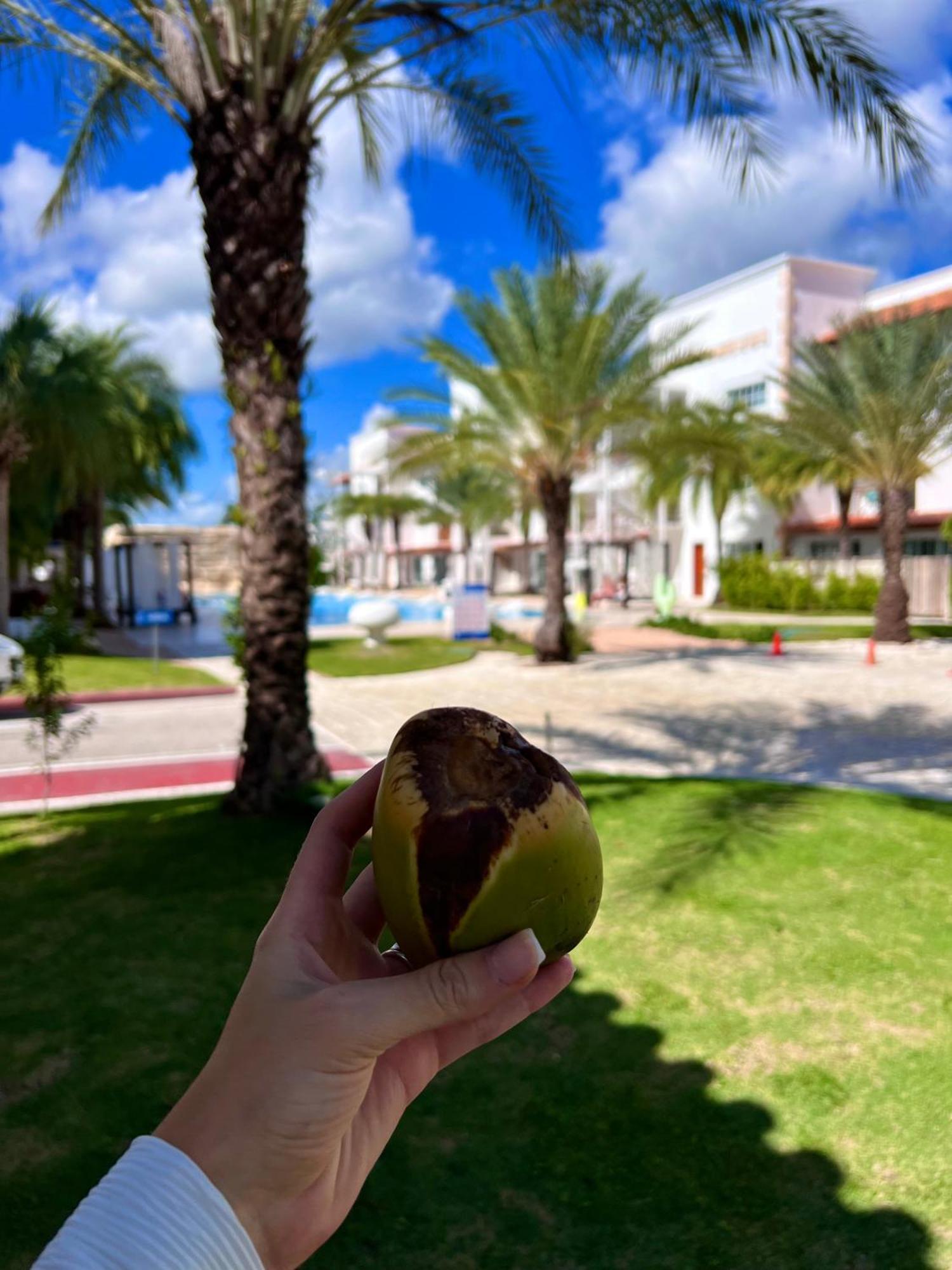بونتا كانا Tanama Hotel المظهر الخارجي الصورة